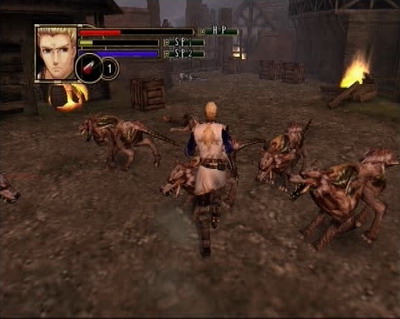 Pantallazo de Realm of the Dead para PlayStation 2