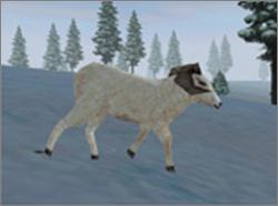 Pantallazo de Rocky Mountain Trophy Hunter 3: Trophies of the West [Jewel Case] para PC