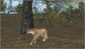 Foto 2 de Rocky Mountain Trophy Hunter 3: Trophies of the West [Jewel Case]