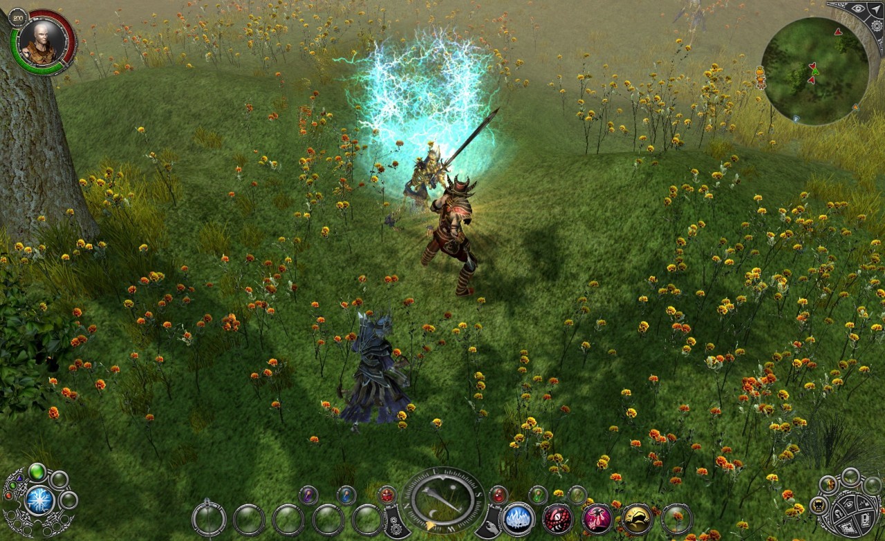 Pantallazo de Sacred 2: Fallen Angel - Ice & Blood para PC