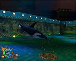 Pantallazo de SeaWorld: Shamu's Deep Sea Adventures para GameCube