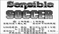Pantallazo nº 19000 de Sensible Soccer: European Champions (250 x 225)