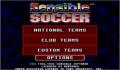 Sensible Soccer (Europa)