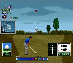 Pantallazo de Serizawa Nobuo no Birdie Try (Japonés) para Super Nintendo
