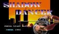 Pantallazo nº 30307 de Shadow Dancer: The Secret of Shinobi (320 x 224)