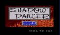 Pantallazo nº 210588 de Shadow Dancer (447 x 334)