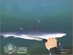 Pantallazo de Shark! Hunting the Great White para PC
