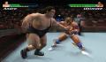 Pantallazo nº 86840 de Showdown: Legends of Wrestling (640 x 480)