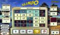Foto 1 de Slingo Deluxe
