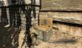 Foto 2 de Sniper Elite V2