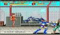 Pantallazo nº 97786 de Sonic Blast Man (250 x 217)