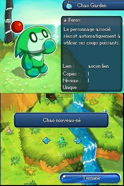 Pantallazo de Sonic Chronicles: La Hermandad Siniestra para Nintendo DS