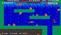 Foto 2 de Spelunker II