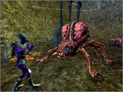 Pantallazo de Star Wars Galaxies: Rage of the Wookiees para PC