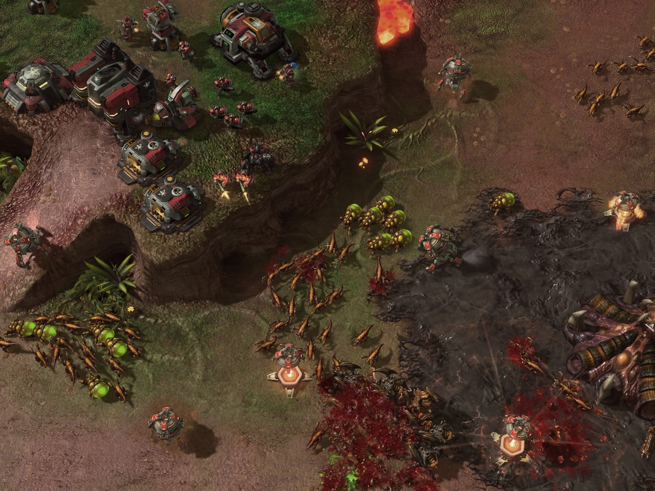 Pantallazo de Starcraft II: Heart of the Swarm para PC