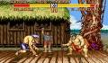 Pantallazo nº 175793 de Street Fighter II Turbo: Hyper Fighting (256 x 192)