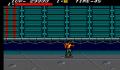 Foto 1 de Streets of Rage