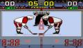 Pantallazo nº 177500 de Super Slap Shot (551 x 480)