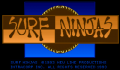 Foto 1 de Surf Ninjas