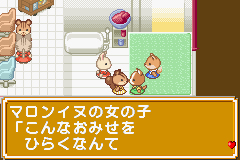 Pantallazo de Sylvania Family - Fashion Designer Ninaritai! (Japonés) para Game Boy Advance