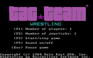 Pantallazo de Tag Team Wrestling para PC