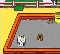 Pantallazo de Tama & Friends: Tamalynpic (Japonés) para Gamegear