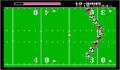 Pantallazo nº 36726 de Tecmo Bowl (250 x 218)