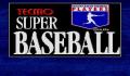 Pantallazo nº 30593 de Tecmo Super Baseball (256 x 224)