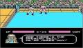 Foto 2 de Tecmo World Wrestling