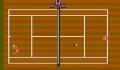 Pantallazo nº 210961 de Tennis Ace (640 x 480)