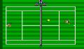 Pantallazo nº 210965 de Tennis Ace (640 x 480)