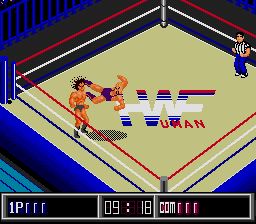 Pantallazo de Thunder Pro Wrestling Retsuden (Japonés) para Sega Megadrive