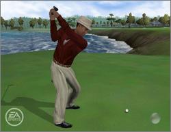 Pantallazo de Tiger Woods PGA Tour 06 para PC