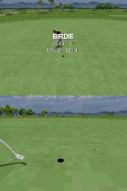 Pantallazo de Tiger Woods PGA Tour 08 para Nintendo DS