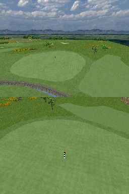 Pantallazo de Tiger Woods PGA Tour 08 para Nintendo DS