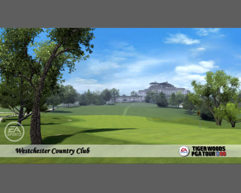 Pantallazo de Tiger Woods PGA Tour 08 para PC