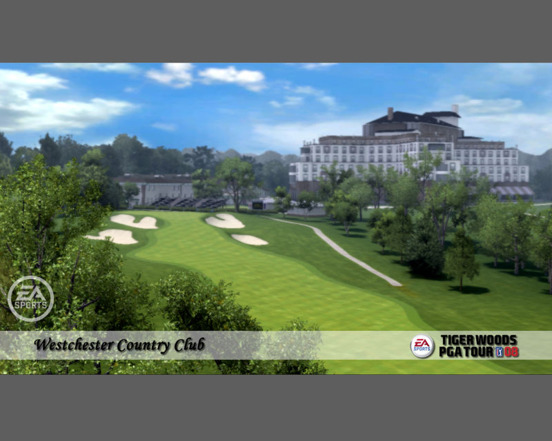 Pantallazo de Tiger Woods PGA Tour 08 para PC