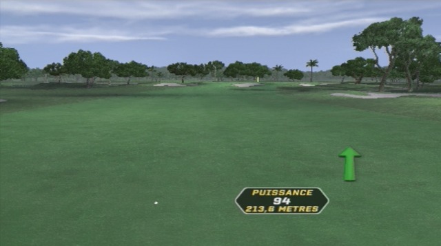 Pantallazo de Tiger Woods PGA Tour 08 para PlayStation 2