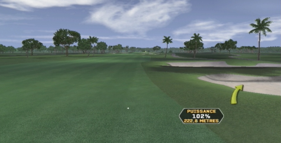 Pantallazo de Tiger Woods PGA Tour 08 para Wii