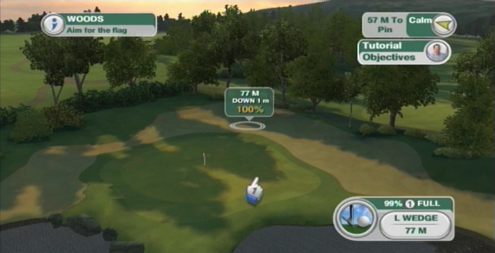 Pantallazo de Tiger Woods PGA Tour 09 All-Play para Wii
