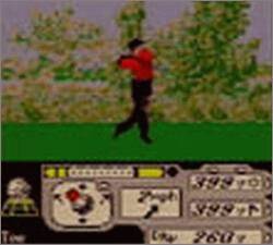 Pantallazo de Tiger Woods PGA Tour 2000 para Game Boy Color
