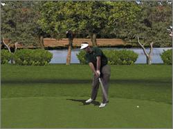 Pantallazo de Tiger Woods PGA Tour 2001 [Classics] para PC