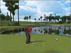 Pantallazo de Tiger Woods PGA Tour 2002 para PC