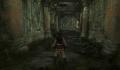 Pantallazo nº 152238 de Tomb Raider Underworld (1280 x 1024)