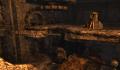Pantallazo nº 152247 de Tomb Raider Underworld (1280 x 1024)