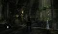 Pantallazo nº 159090 de Tomb Raider Underworld (1280 x 720)