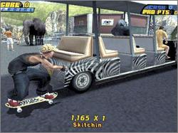 Pantallazo de Tony Hawk's Pro Skater 4 para PC
