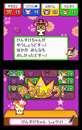 Pantallazo de Tottoko Hamtaro: Nazo Nazo Q Kumonoue no ? Jou (Japonés) para Nintendo DS