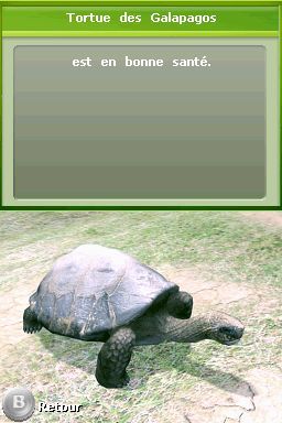 Pantallazo de Tus Amigos: Veterinarios Del Zoo para Nintendo DS