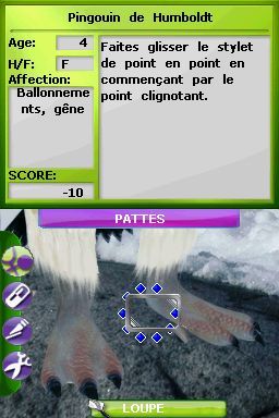 Pantallazo de Tus Amigos: Veterinarios Del Zoo para Nintendo DS